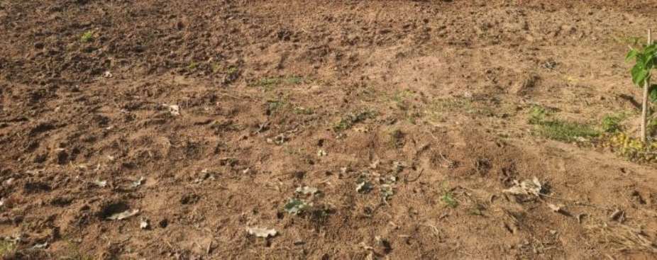 UW/R: Concerned Dagara Youth condemns ‘unwarranted’ persistent land dispute between Dagara and Sissala communities