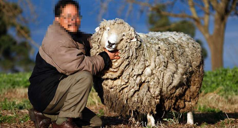 Man ‘Marries’ Sheep
