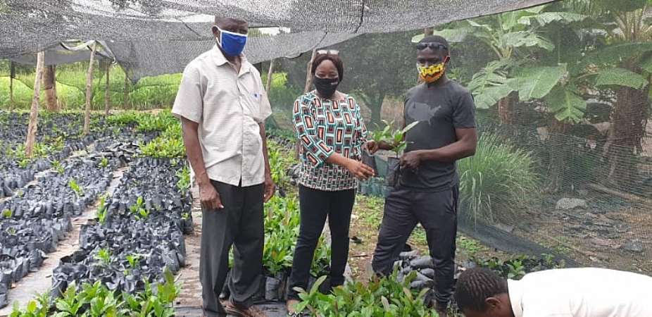 Tain District Assembly Supports Farmers WithCashew Seedlings