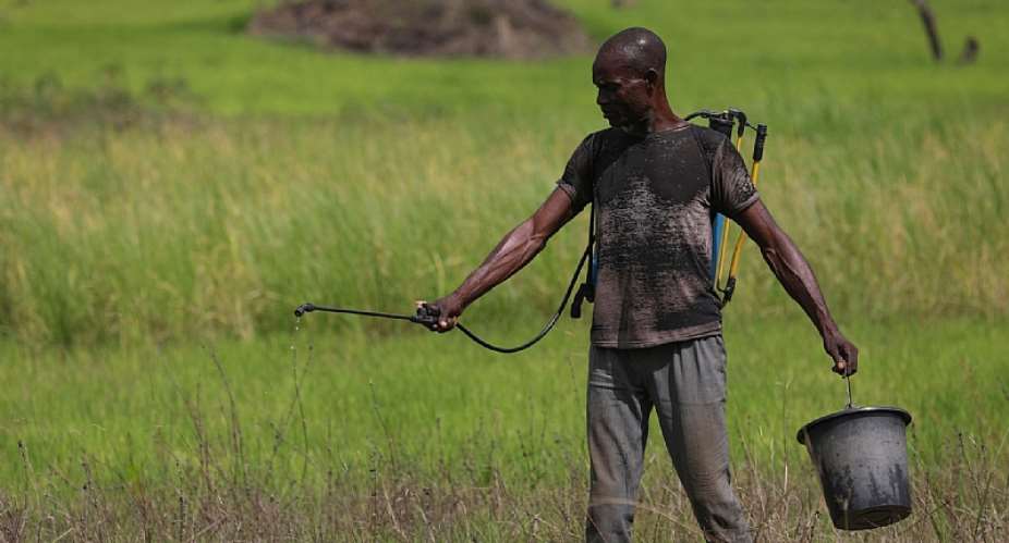 Without strict regulation, farmers misuse pesticides. Kola Sulaimon/AFP/ - Source: