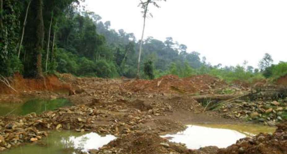 Let's prioritise efforts to protect forest resources - Stakeholders