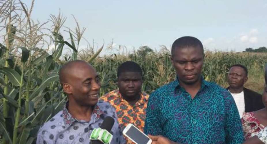 Deputy Agric Minister commends NSS after visit to farm