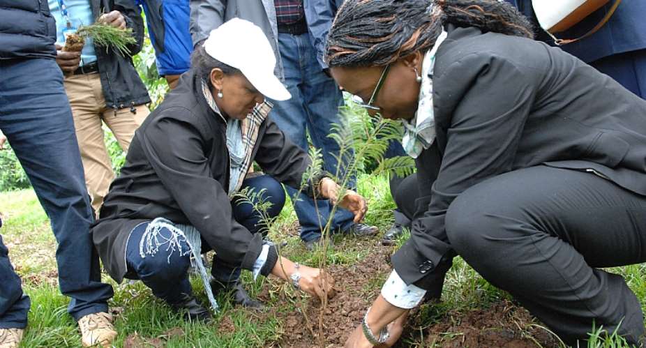 Greening Ethiopia Initiative Plants 200 Million Saplings On A Single Day