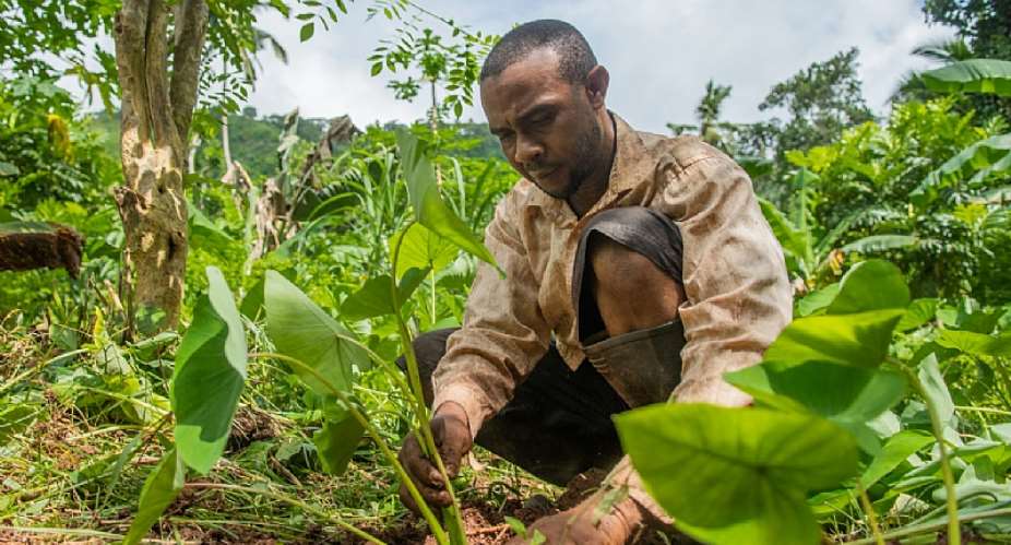 Comoros has huge untapped investment potential
