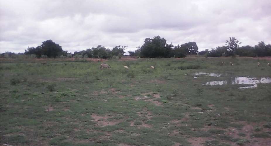 FEATURE: Welcome to the Upper East Region of Ghana, Bolga - where football is crawling in suffocation