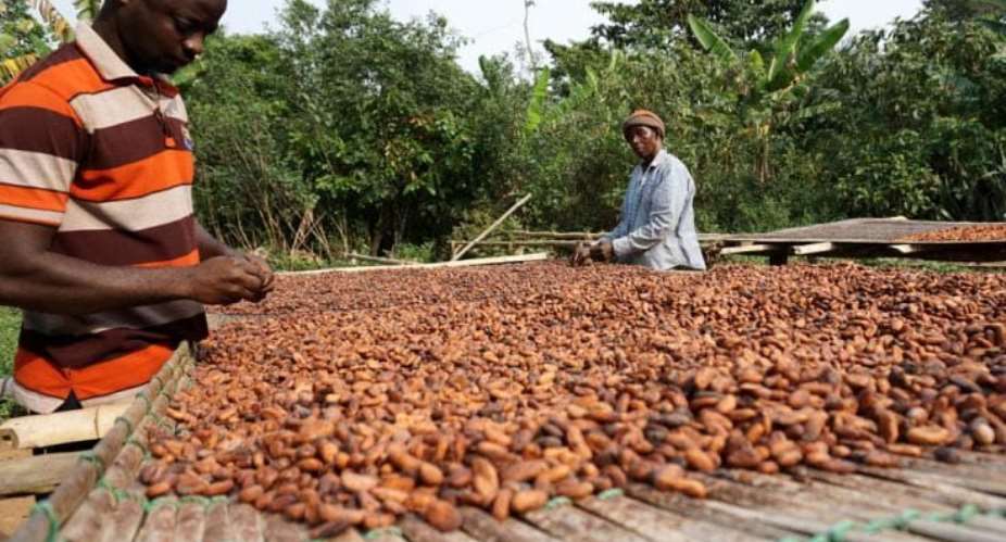 Parliament passes Ghana Cocoa Board Bill to guarantee farmers 70% of cocoa export price