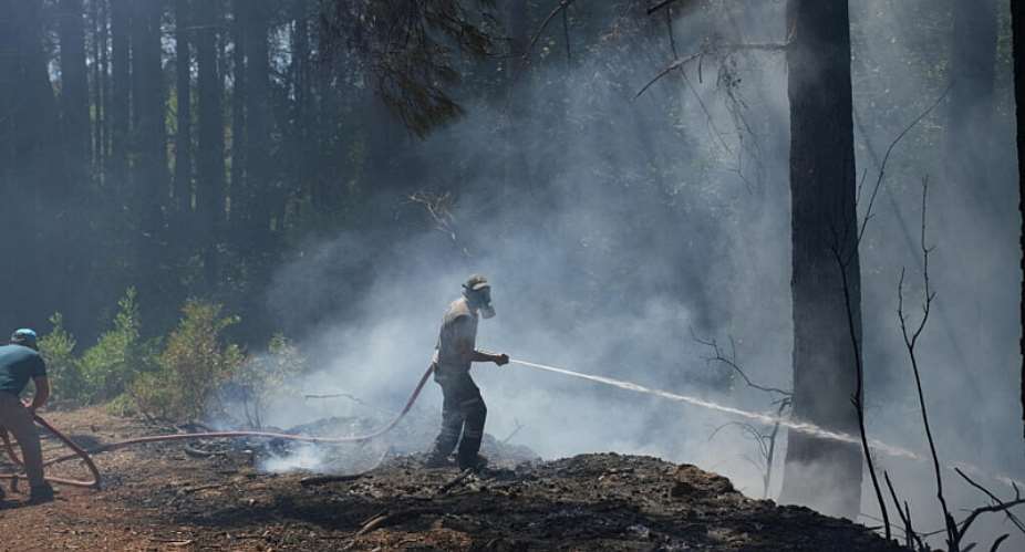 A forest worker battles a wildfire in Seydikemer district of the southwestern Mugla province, Turkey on July 30, 2026. -  Ali Dinc, Reuters