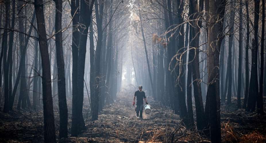 A man walks with a bucket by trees burned by a wildfire, in Lanton, Gironde department, amid drought conditions following a heatwave and water shortages across much of France, July 29, 2026. -  Sarah Meysonnier, Reuters