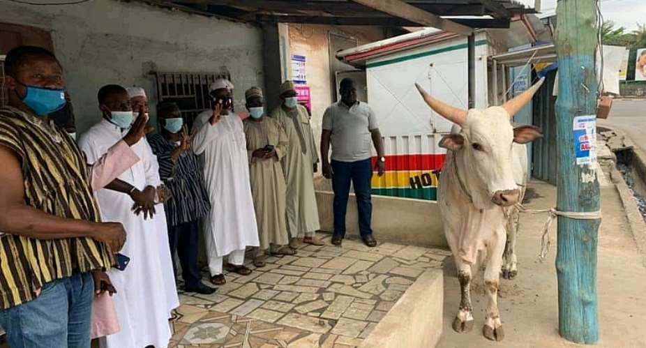 Veep Dr. Bawumia donates bull to Council of Zongo Chiefs in Kumasi for Eid D'Fitr celebrations.
