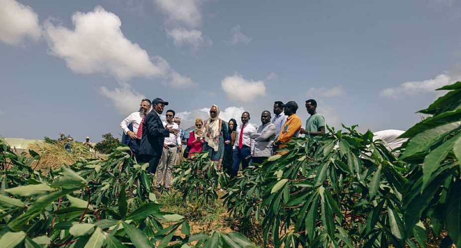 At City University in Mogadishu, IOM supports a seed bank preserving indigenous crops, nurturing climate resilience and environmental peacebuilding. Photo: IOM/Raber Aziz