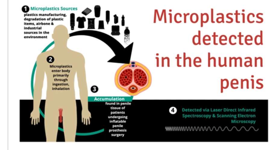 ASEc calls for urgent measures in response to alarming findings on microplastic invasion in human bodies