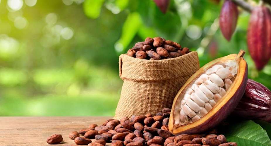 Cocobod releases GH¢2.6 billion to LBCs to settle cocoa farmers