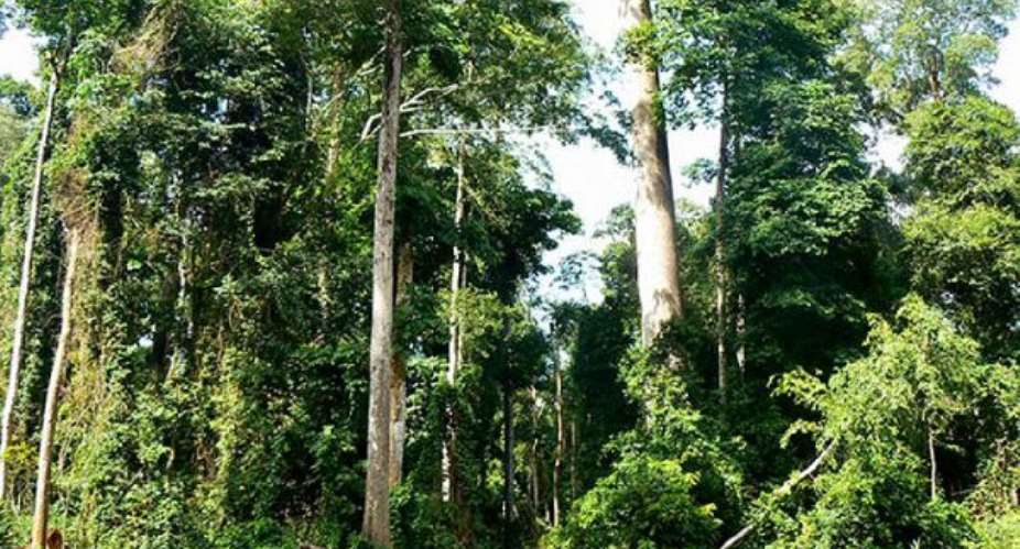 CSOs, Individuals Sue Gov't Over Exploration At Atewa Forest