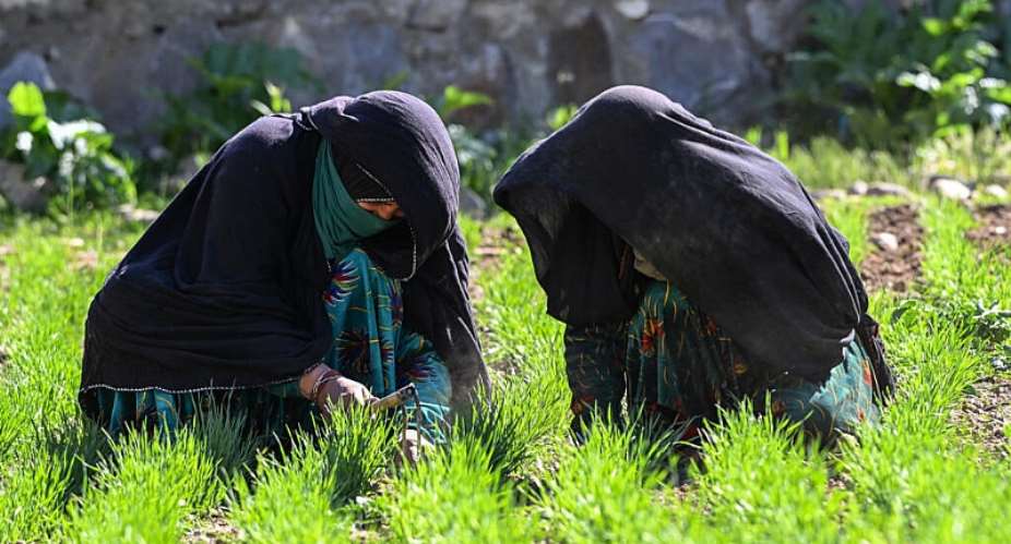 In northeastern Afghanistan women farmers are playing a vital role in the survival of their communities. -  Wakil KOHSAR / AFP