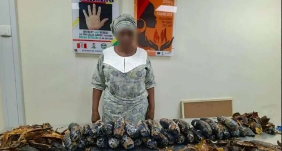 How a 67-year-old grandmother was arrested with 13kg cocaine hidden in fake plantain peels