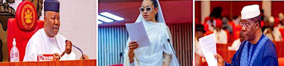 If the Senate Bars Her Entry, Senator Natasha Akpoti-Uduaghan Should Set Up Outside the National Assembly