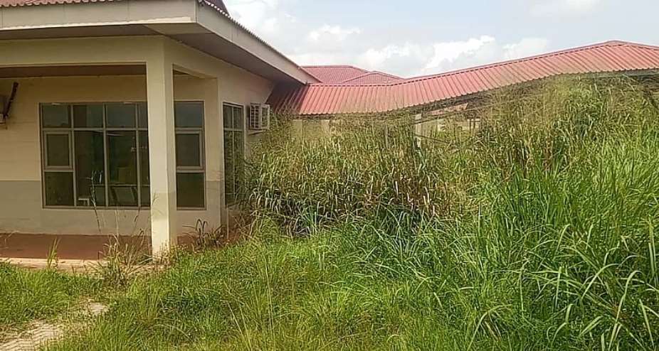 Abandoned Sawua Regional Hospital rots away as weeds, pets takeover