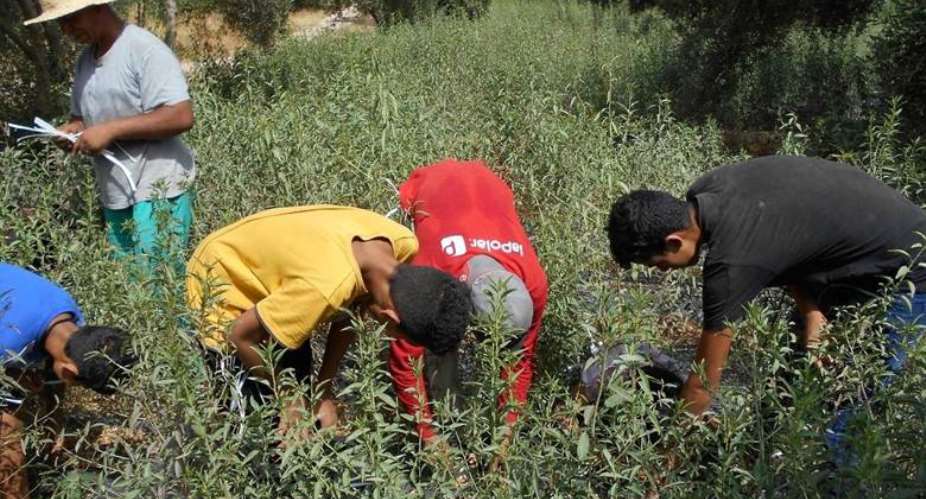 Morocco’s newly established National Agency for Child Protection creates a window of opportunity to integrate developmentally-sensitive priorities into standards of care in Child Protection Centers. Establishing adolescent autonomy must be a priority if CPEs wish to effectively address adolescent deviance.
