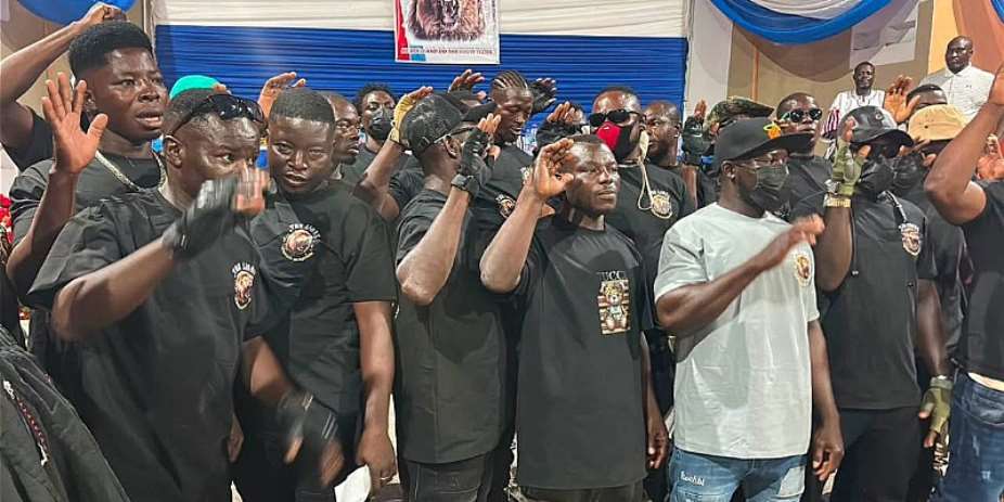 Upper East NDC Youth calls for probe into alleged formation of NPP-linked The Lions group
