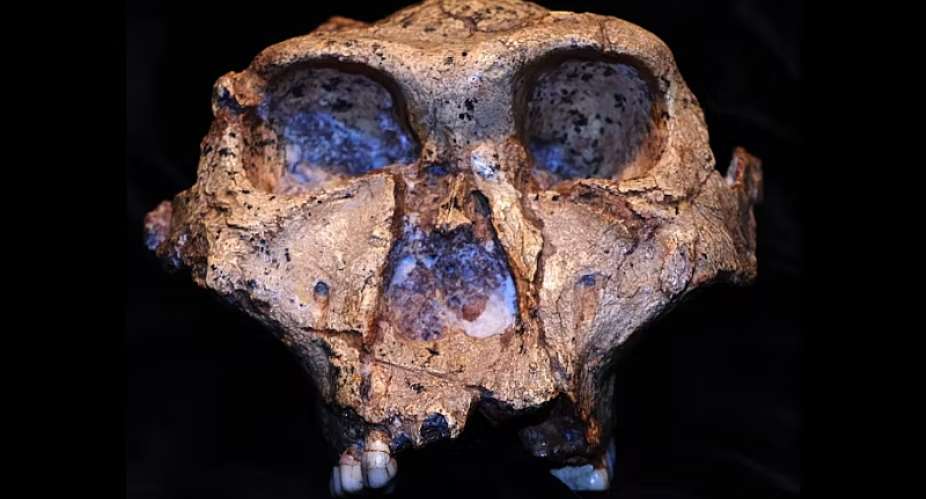 New clues from 2 million-year-old tooth enamel tell us more about an ancient relative of humans