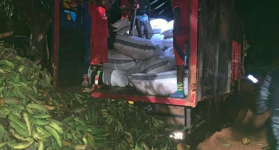 Four arrested as police seize 11.8 tonnes of cocoa hidden beneath a load of plantain allegedly bound for Togo