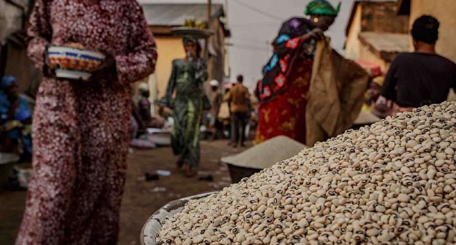 In Ghana, a Bumper Crop of Opinions on Genetically Modified Cowpea
