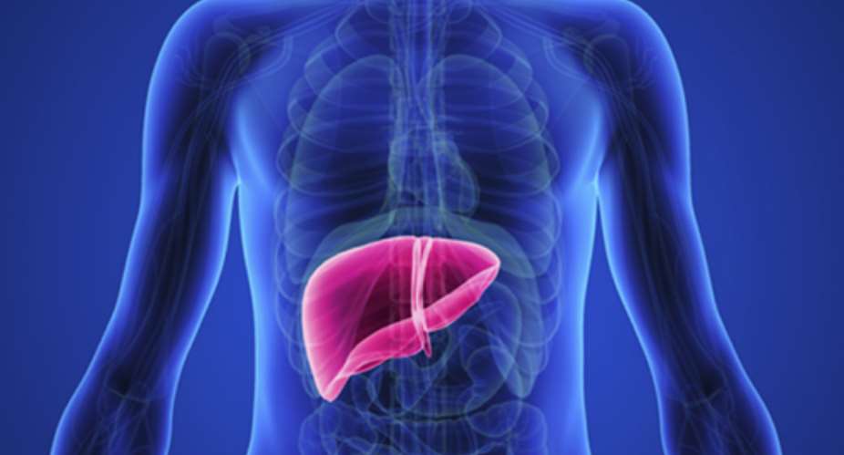 World Hepatitis Day – Your Liver Makes A Strong Case Why You Must Take Care Of It