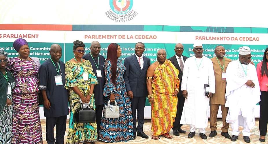 Plastic waste menace: Afenyo-Markin proposes action plan