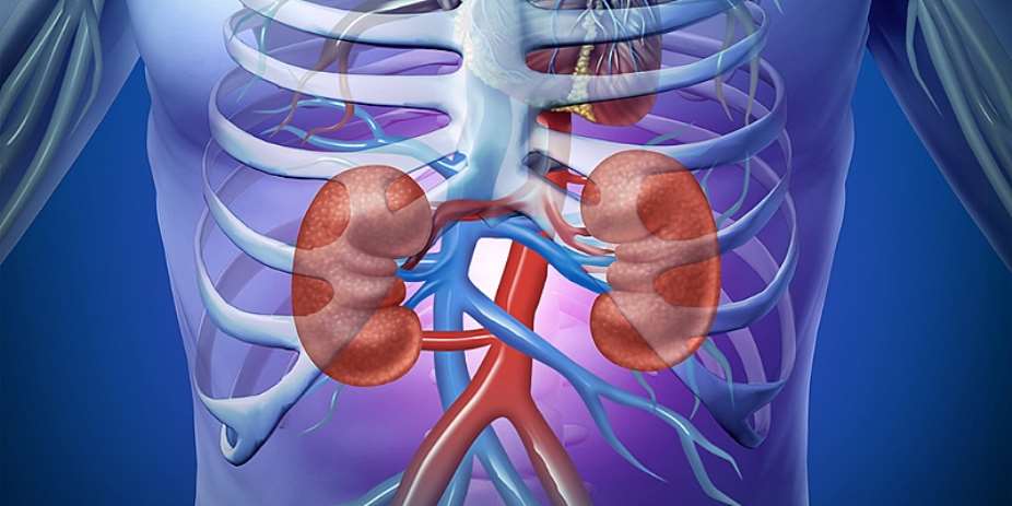 Silent Damage: Why Early Diagnosis Matters in Chronic Kidney Disease