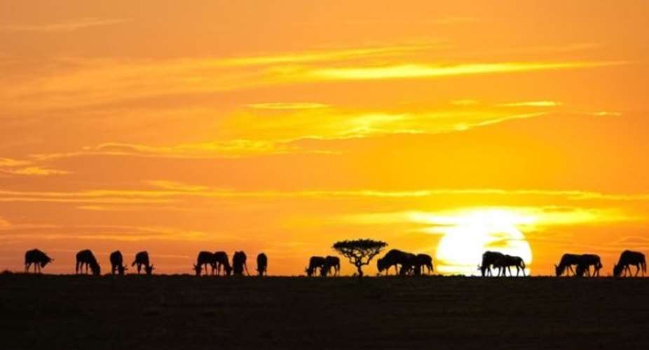 Africa: Heaven For Nature Photographers