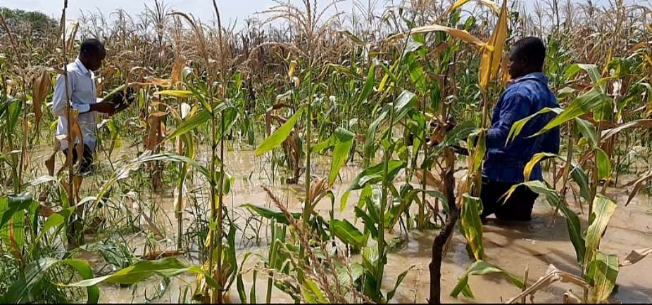 Framers In Mad Rush To Harvest Crops As Burkinabe Authorities Spill Bagre Dam