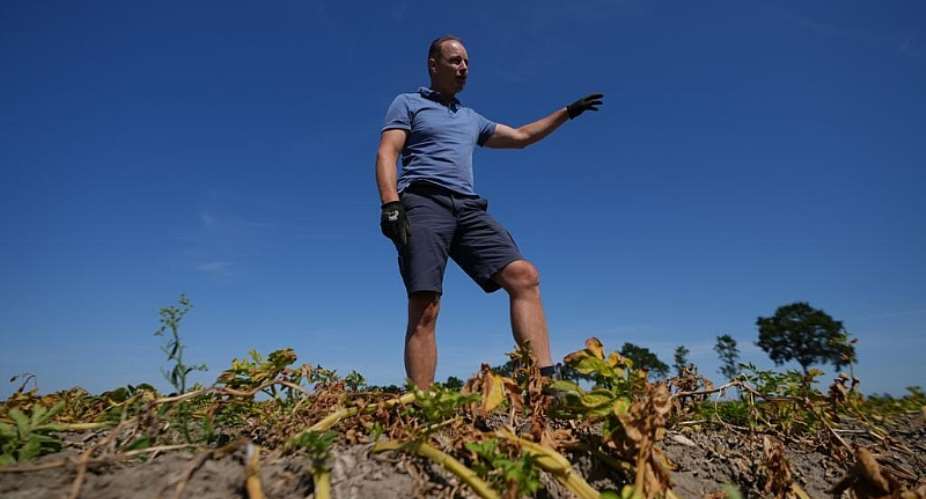 A farmer stands in his drought-affected potato field in Poortvliet, Netherlands. -  Virginia Mayo, AP