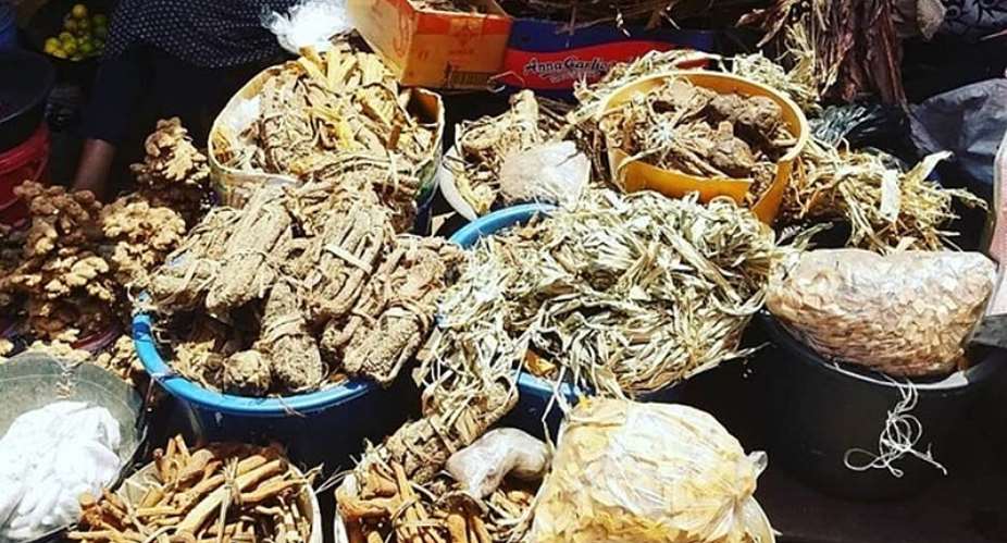 Prospective View for Traditional Medicine, Science, and Innovation in Ghana