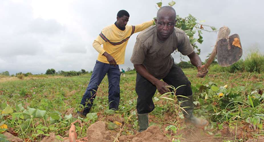 USAID Encourages Evidence-based Policy to Boost Agricultural Productivity
