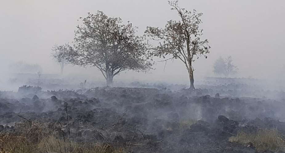 A wildfire in the Hautes Fagnes (High Fens) nature reserve in eastern Belgium scorched vast swathes of land on August 15, 2026. -  Laurent Cavenati, AFP
