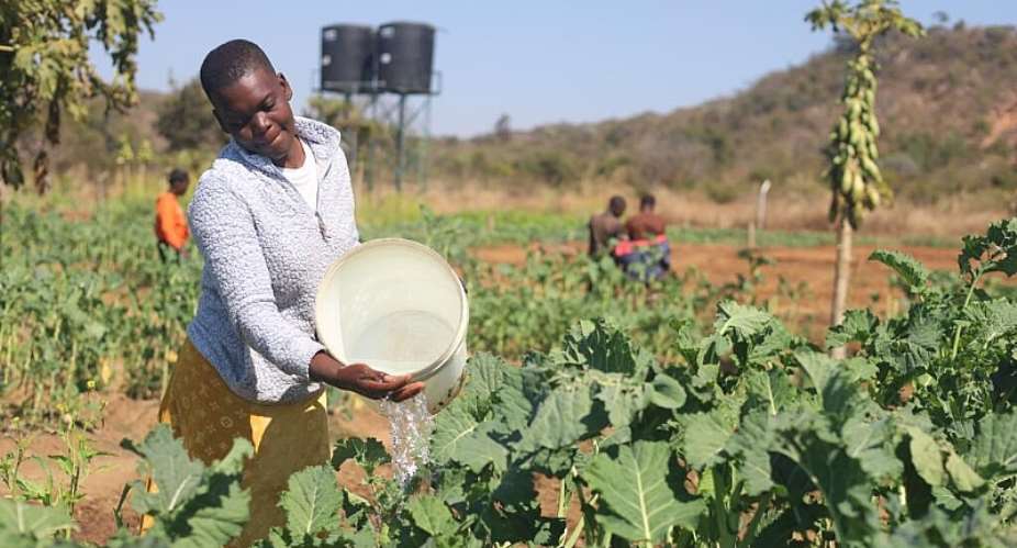 Mutekwatekwa community garden in Mutare, Zimbabwe, is shared by 50 farmers, including 32-year-old Berita Numbi. -  Farai Shawn Matiashe