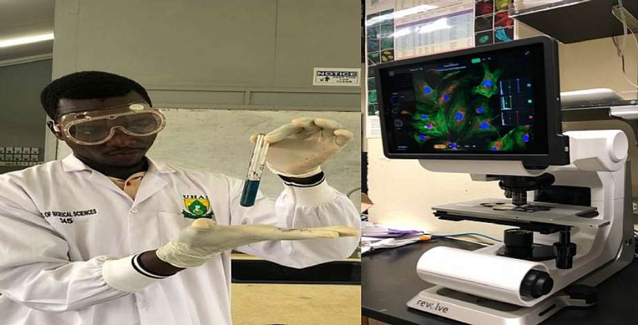 Guava Leaves Show Promise In Prostate Cancer Research