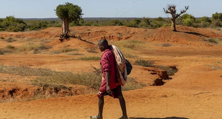 Consecutive years of severe drought have wiped out crops and hampered access to food in the Deep South regions of Madagascar. -  Karel Prinsloo / AFP