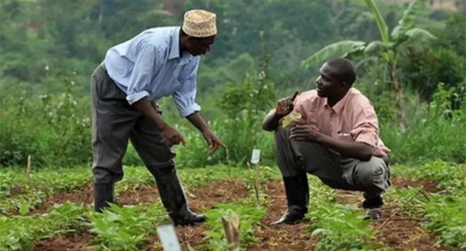 Africa’s Youth Are Looking For Jobs: The Food System May Hold The Answer