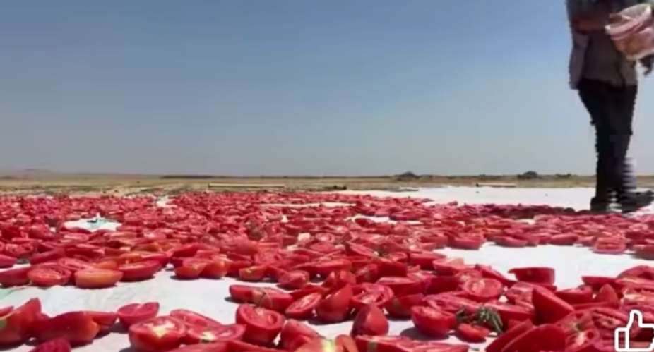 Diyarbakrs Red Gold: How Southeastern Trkiye Turns Sun-Dried Tomatoes Into a Global Export