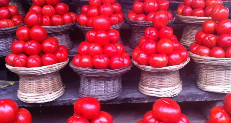 Takoradi records least decline as tomato prices drop again