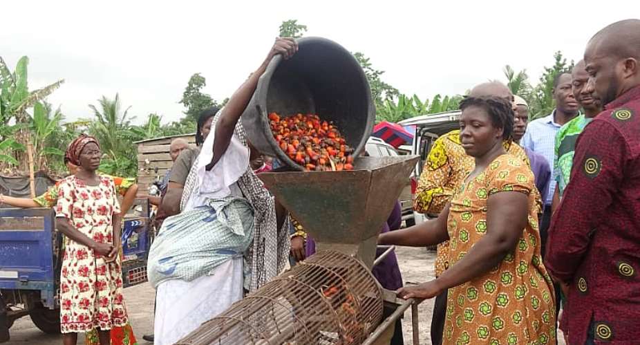 Ghana Imports 40m Of Palm Oil Annually