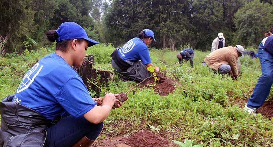 IOM staff planting trees at the Gullele Botanical Garden in Addis Ababa. Photo: IOM Ethiopia