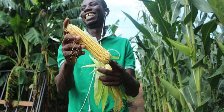 How Agriculture Impacts African Economies