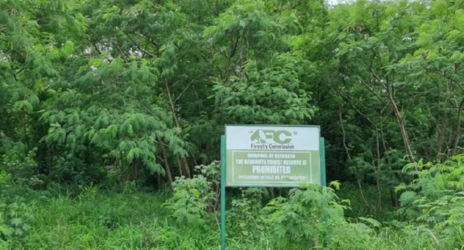 Gov’t will ensure Achimota Forest does not become a haven for criminals – Abu Jinapor