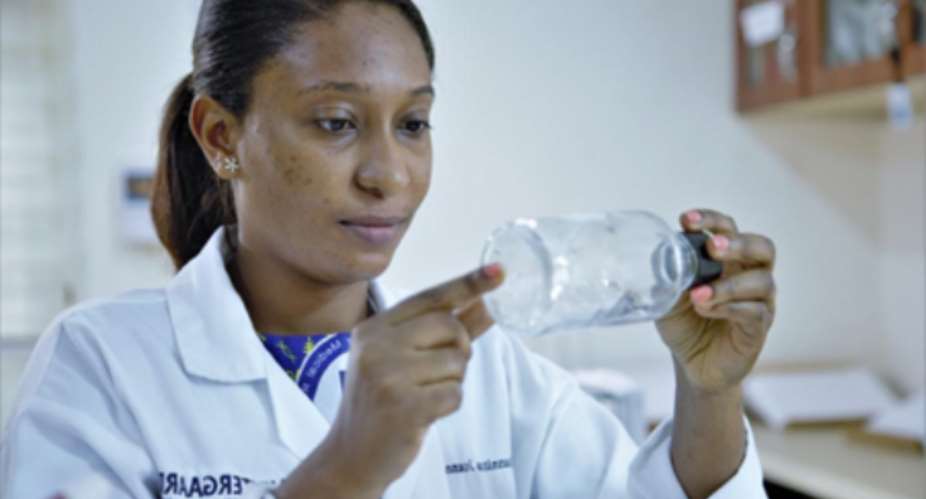 Mosquitoes, Malaria, and Markets: Ghana’s Health System Through the Lens of Public–Private Partnerships