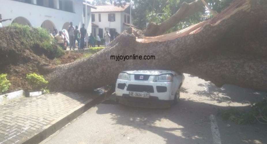 Tree falls on parked stationary vehicle at Legon