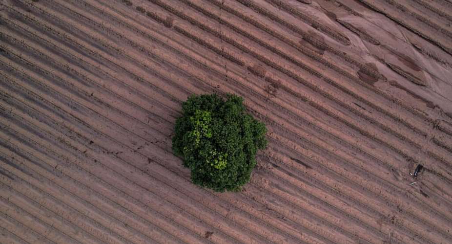 Arid land that has been prepared for cultivation is seen in Anantapur district, Andhra Pradesh, India. - AP - Rafiq Maqbool