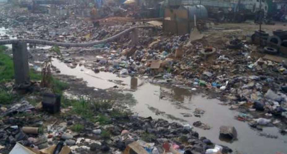 Ghana needs 160 million to fight poor sanitation
