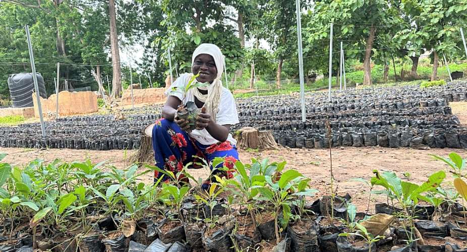 Yakuba Ketiba shares broad smile after seeing the growth of her shea nursery.